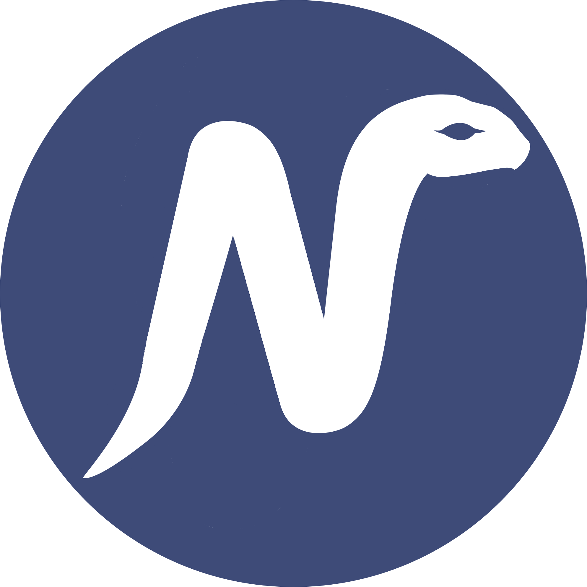 Nagini IDE
